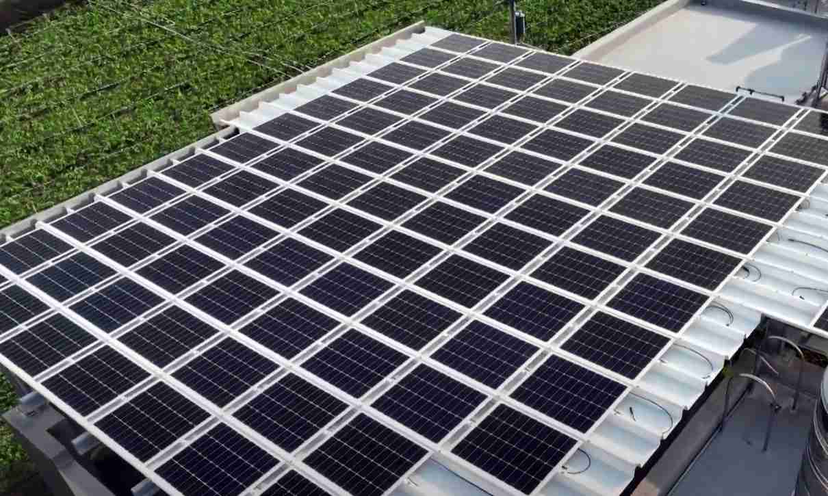 彩神vllSunSteel光电浪板升级双玻结构，，，，以提升机械负载强度及气候耐候度，，，，可广泛运用于多元场域